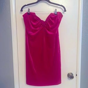 Bright Pink Velvet Dress